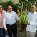 Angel Estevez y camiones