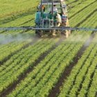 Agricultura en Puerto Rico 87