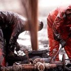 Petroleo de texas t