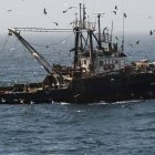 pesca