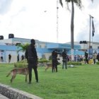 Asalto a Najayo-Hombre