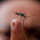 Zika síndrome