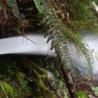 En este operativo se desmontaron 15 sistemas diferentes de trasvase hídrico, algunos de las cuales tenían diámetro de hasta seis pulgadas. Fuente externa. 