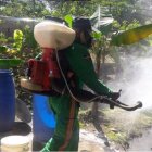 Fumigación