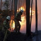 incendios forestales