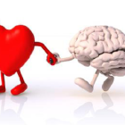 Herz-und-Verstand