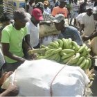 Productos de RD en Frontera