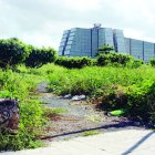 12_07_2016 HOY_MARTES_120716_ El País12 A