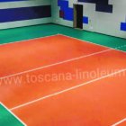 Varios países del Caribe que juegan voleibol sufrieron serios daños