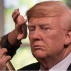 Trump ha asegurado varias veces que no lleva peluca/Foto: Fuente externa.