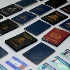 Pasaportes y Carnes