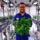 vegetales