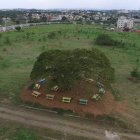 Inauguran este lunes el Jardín Botánico de Santiago