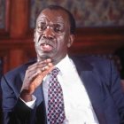  José Francisco Peña Gómez.