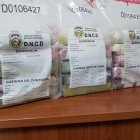 DNCD ocupa 9 paquetes de cocaína y apresa a 3 personas en Alma Rosa