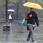 lluvia-vaguada-santo-domingo-raccoon-knows-1