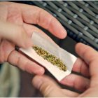 Dominicanos NY opuestos regularicen uso marihuana para adultos