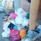 26165154_1782013805173488_4254350805048328248_n