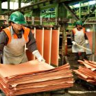 6D_Economía_08_6,p01