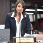 Diputada Faride Raful/Fuente externa.