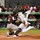 Estrellas y Toros se mantienen en la cima en béisbol dominicano