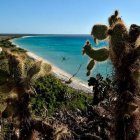 Terreno Bahía de las Águilas