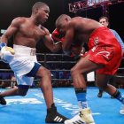 Javier El Abejón  Fortuna