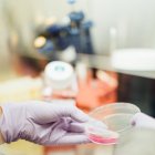 drew-hays-tGYrlchfObE-unsplash