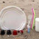 Los químicos del plástico, alto riesgo para la salud humana