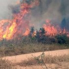 salvar-Amazonia-pulmon-planeta-asfixiado_EDIIMA20190823_0037_4