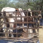 53d97796-0891-4a73-9d19-6f3b91e1a1dc