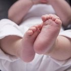 Imagen de referencia