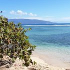 1C_¡Vivir!_19_1ok,p01~(2)