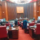 Senado 0