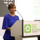 Bredyg Disla, presidente de AIE-Haina y Región Sur.