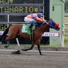 ef751eaa-0769-4468-a484-ea286fd0b40f