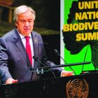 USA4038. NACIONES UNIDAS (ESTADOS UNIDOS), 30/09/2020.- Fotografía cedida por la ONU donde aparece su secretario general, António Guterres, mientras habla durante la cumbre sobre biodiversidad en la Asamblea General de Naciones Unidas hoy en la sede del organismo en Nueva York (EE.UU.). La ONU llamó este miércoles a todo el mundo a “reconstruir” su relación con la naturaleza, para poner fin a la “guerra” que ahora mismo la humanidad está librando con el medio ambiente. EFE/Rick Bajornas/ONU /SOLO USO EDITORIAL /NO VENTAS