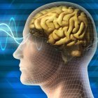 Human head and brain. Different kind of waveforms produced by brain activity shown on background. Digital illustration.