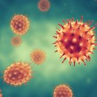 Coronavirus - EXTERNA