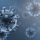 Erradicación-Coronavirus