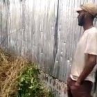 VIDEO D