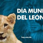 WhatsApp Image 2021-08-09 at 5.14.12 PM