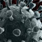 4B_¡Vivir!_5 _1,p03