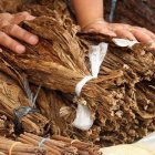 impuesto-al-tabaco-en-usa-seria-devastador-para-el-pais