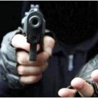 Imagen de referencia