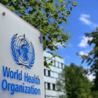 La OMS lanza un plan global contra el zika, el dengue y otros arbovirus. Archivo