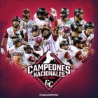 Equipo Campeón de los Gigantes del Cibao