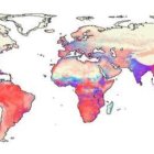 En 2070, los centros de población humana de África ecuatorial, el sur de China, la India y el sureste de Asia coincidirán con los lugares previstos de riesgo de transmisión viral entre especies en la fauna salvaje. 