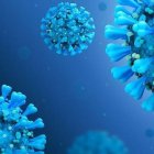 La COVID y su gran cantidad de variantes.