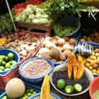 comida-canasta-familiar